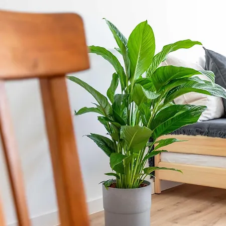 Apartamento Vieux Port - L'abri Cotier *